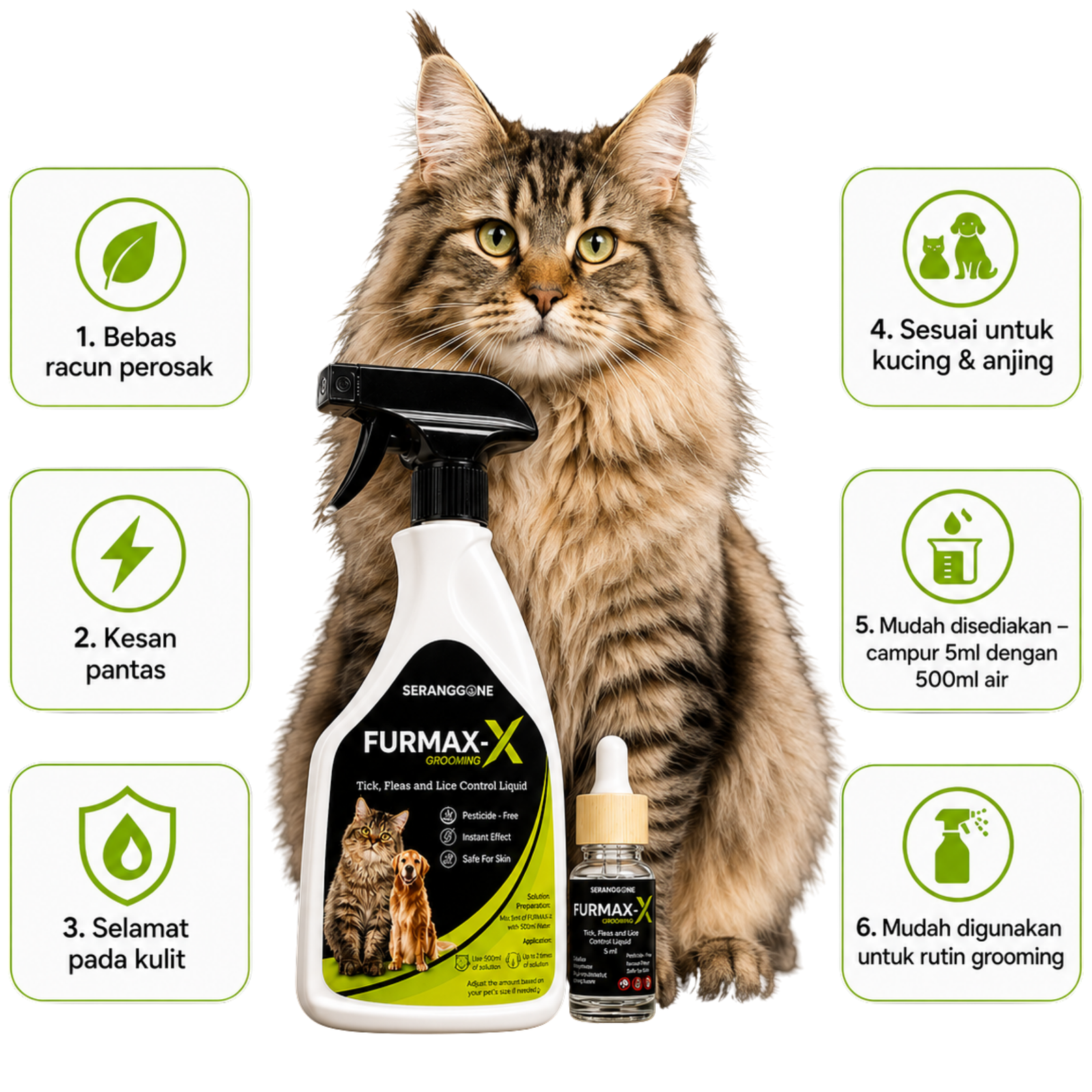 Kelebihan spray kutu kucing