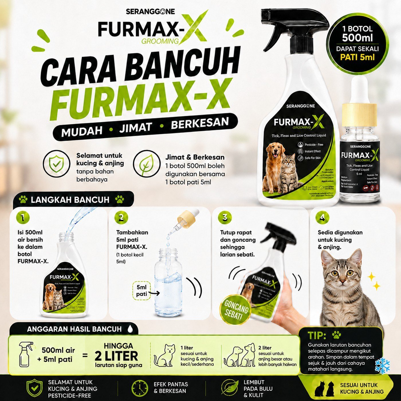 Cara guna spray kutu kucing